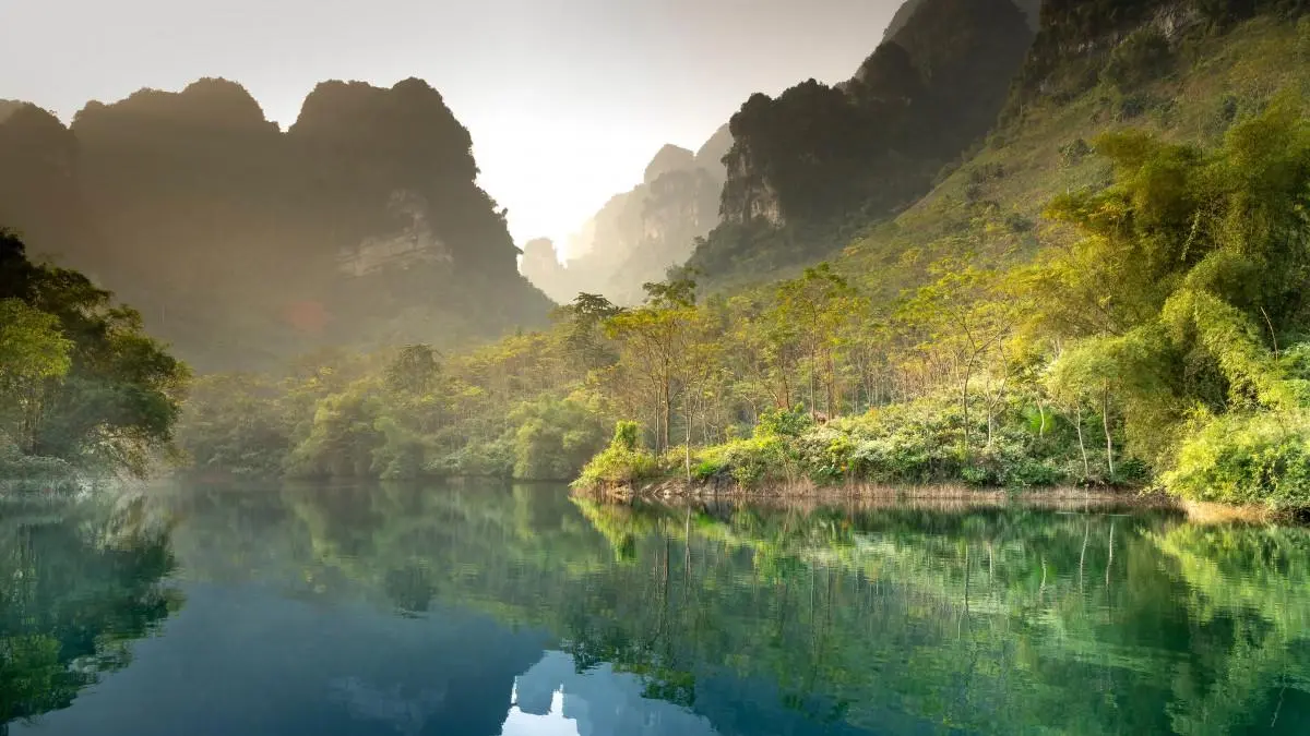 科技科技
